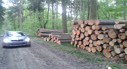 forest logging harvester worker
